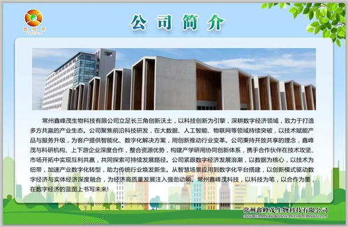 鑫峰茂 以技術服務為舟，奮力突破千層浪，勇者踏平萬重山