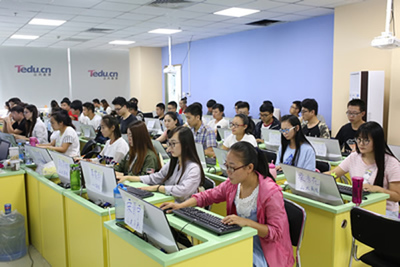 天津軟件開發(fā)工程師培訓(xùn)指南 路徑、機(jī)構(gòu)與建議